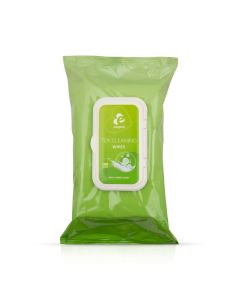 EasyGlide Toy Reinigungstücher - 100 Tücher