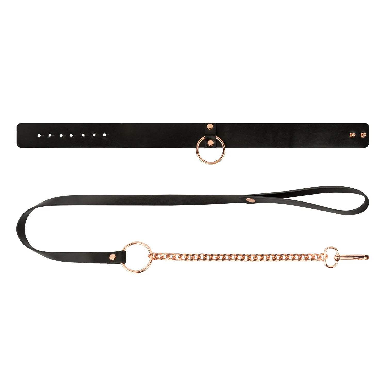 Schwarz-goldenes Halsband und Leine als stilvolles Accessoire