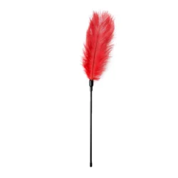 Roter Feder-Tickler von Toys Fetish Collection mit langen Federn für spielerische Stimulation