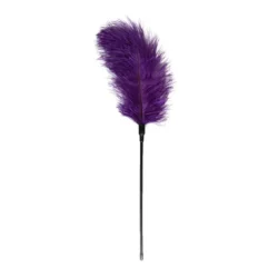 Violetter Feder-Tickler von Toys Fetish Collection mit langen weichen Truthahnfedern